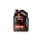 Моторное масло синтетическое MOTUL
