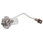 Лампа галогенна протитуманна з проводами 12 В АКГ12-55 H3