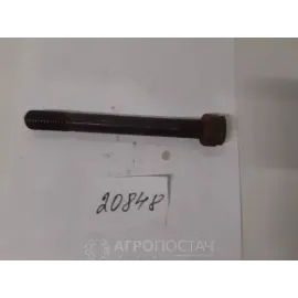 Шпилька головки блоку коротка з гайкою