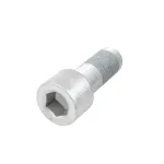 Болт з циліндричною головкою 238904