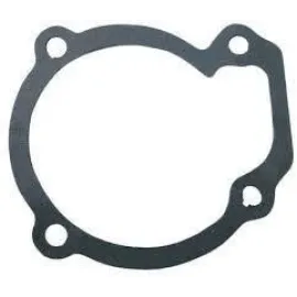 Прокладка насосу водяного