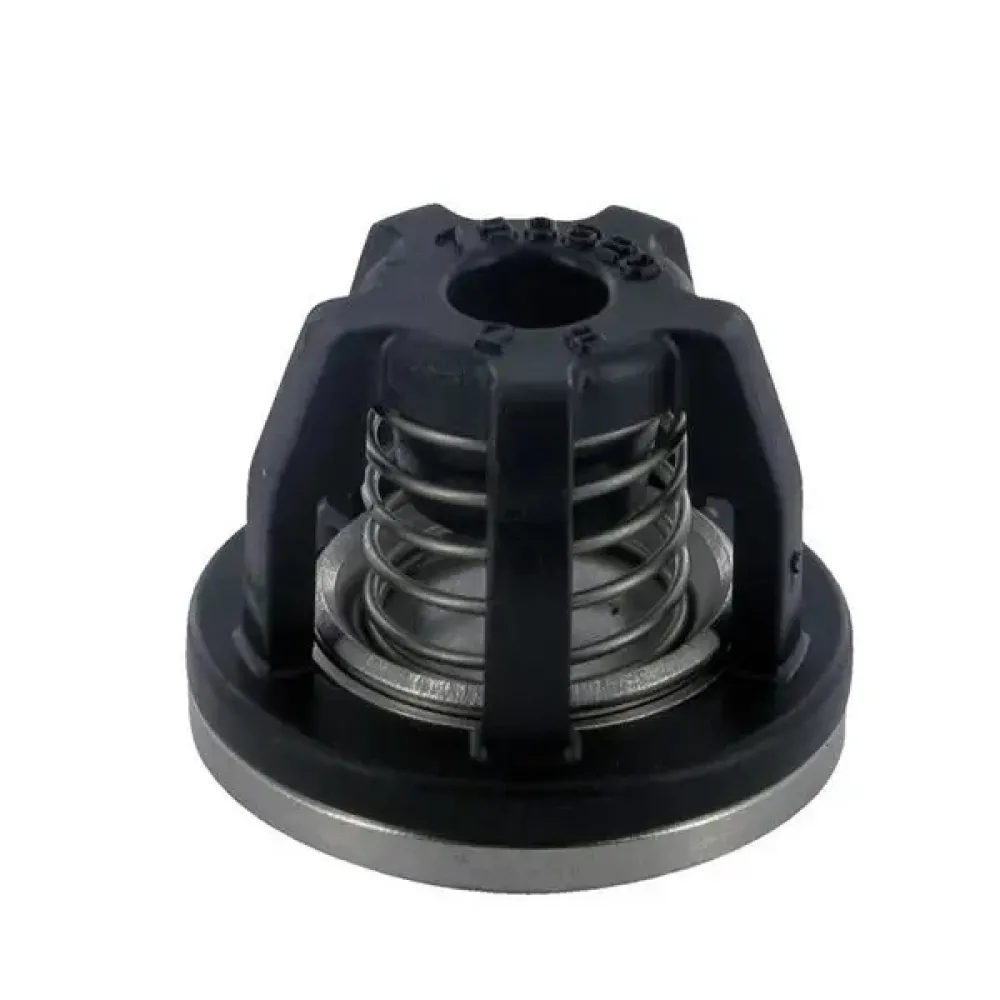 Клапан насоса предохранительный 1609000