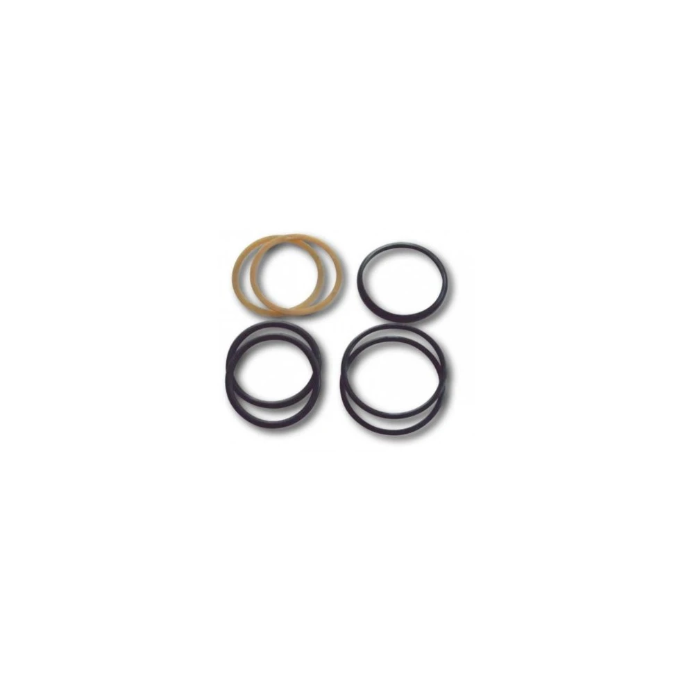 Ремкомплект гідроциліндра підйому жниварки РСМ-10.09.02.100Б Versatile Дон-1500