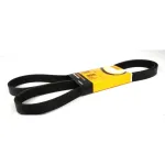 Ремень компрессора кондиционера AgroP