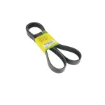 Ремень поликлиновой R500277