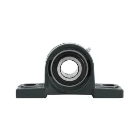Подшипник с корпусом на 2 отверстия