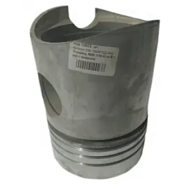 Поршень группа Б