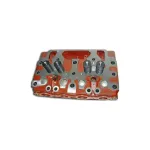 Головка блоку в зборі з клапанами 51-02-3СП