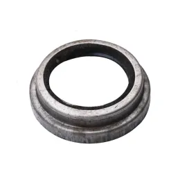 Пильовик ступиці