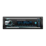 Магнитола FM AgroP