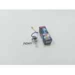 Лампа галогенна протитуманна з проводами 12 В АКГ12-55 H3