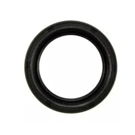 Кільце ПНВТ