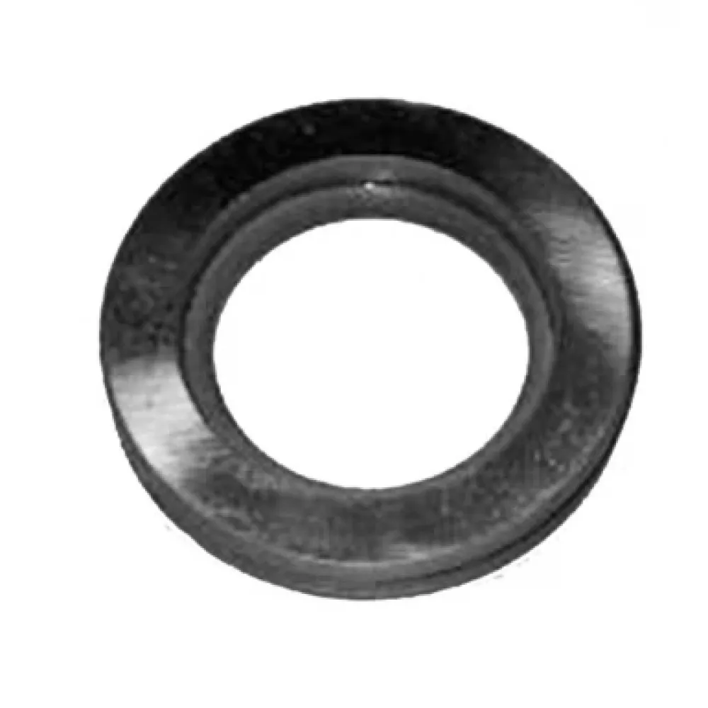 Кільце шворня