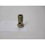 Болт-штуцер косинця з довгастим отвором