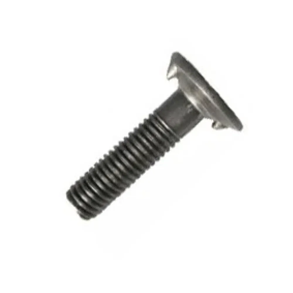 Болт норійний