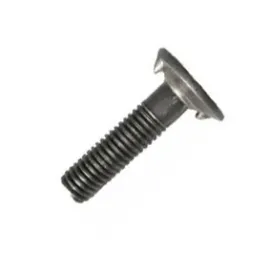 Болт норійний