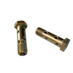 Болт-штуцер косинця 310236-П29