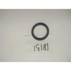Кільце клапана головки насосу обприскувача