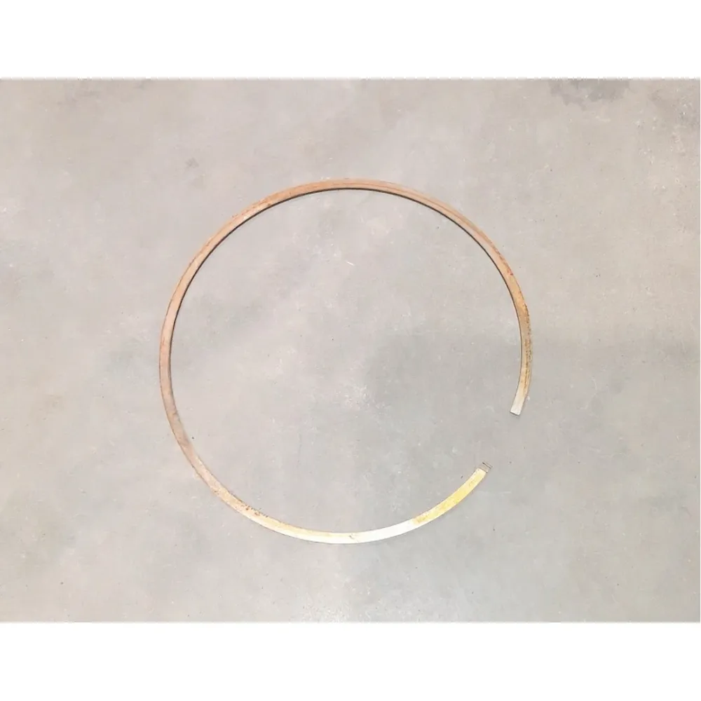 Кільце фрикціону ВВП