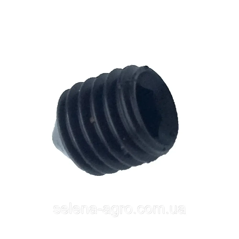 Гвинт труби шворня