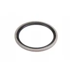 Ущільнення поршня 216733