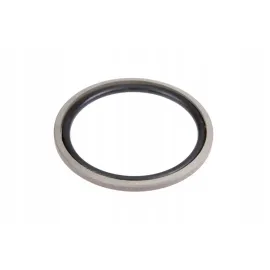 Ущільнення поршня