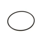 Кільце ущільнювальне балансиру моста 828/00369