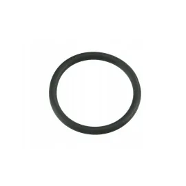 Кільце ущільнювальне