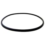 Кільце кришки бака 3522160.020