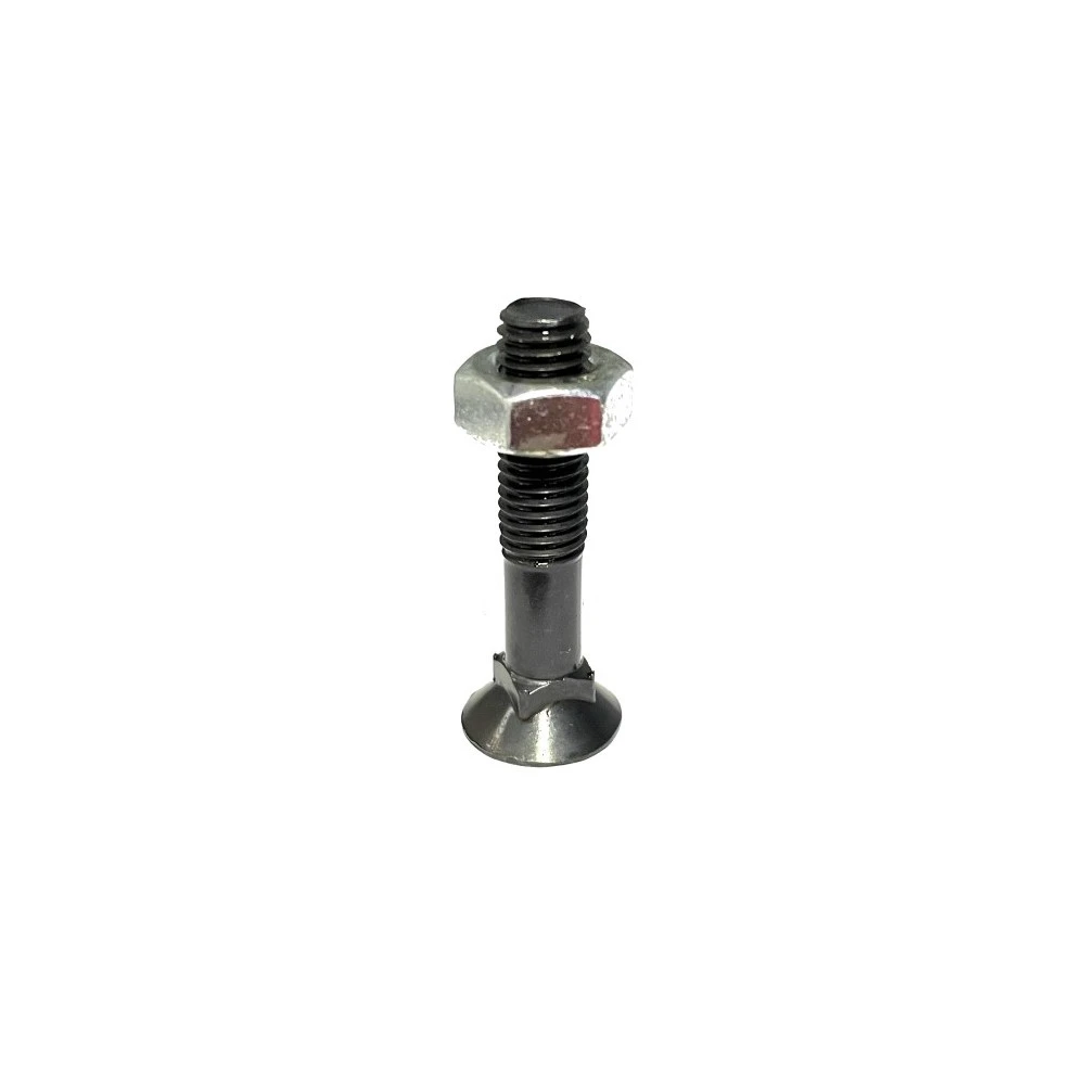 Болт спеціальний П10х50