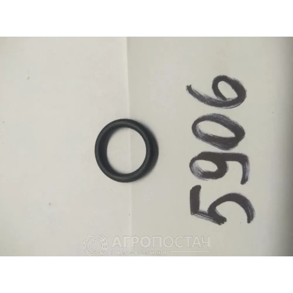 Кільце насосу обприскувача 014-018-20-2-2