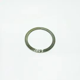 Кільце завзяте