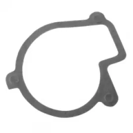 Прокладка водяного насосу