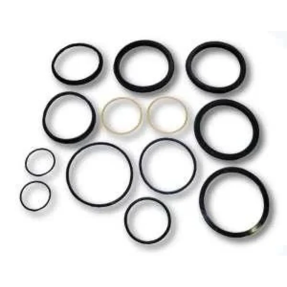 Ремкомплект гидроцилиндра выноса опоры крана ГЦ-Ц.22.000