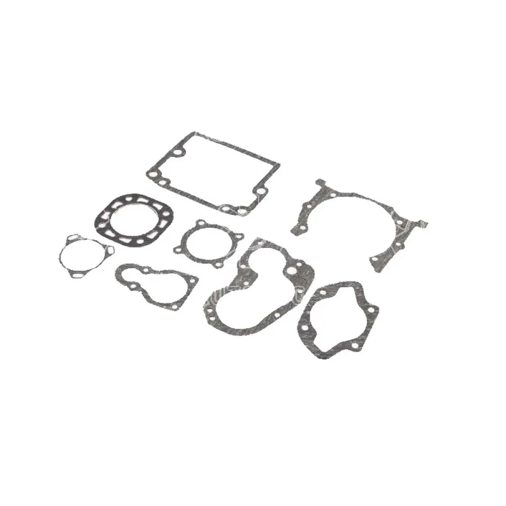 Ремкомплект пускового двигателя AgroP