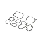 Ремкомплект пускового двигателя AgroP