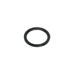 Манжета вала коленчатого задняя 236-1005160