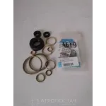 Ремкомплект ТНВД 2101