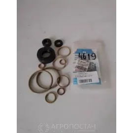 Ремкомплект ТНВД