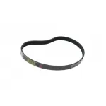 Ремінь поліклиновий вентилятора