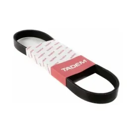 Ремінь поліклиновий вентилятора