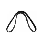 Ремінь поліклиновий вентилятора