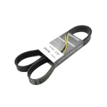 Ремінь поліклиновий