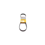 Ремінь поліклиновий