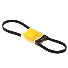 Ремінь поліклиновий