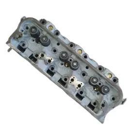 Головка блоку в зборі з клапанами старого зразка