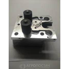 Головка блоку в зборі з клапанами