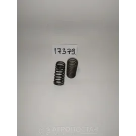 Пружина клапана внутренняя малая