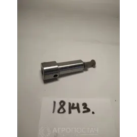 Пара плунжерная