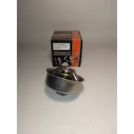 Термостат з нержавіючої 70 C